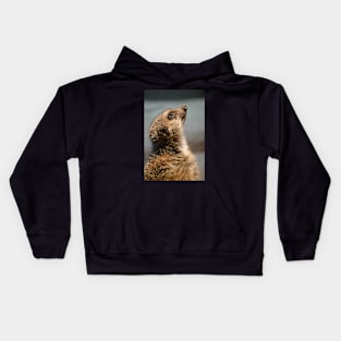 Meerkat Portrait Kids Hoodie